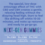 GoGo SNOOZE Gummies
